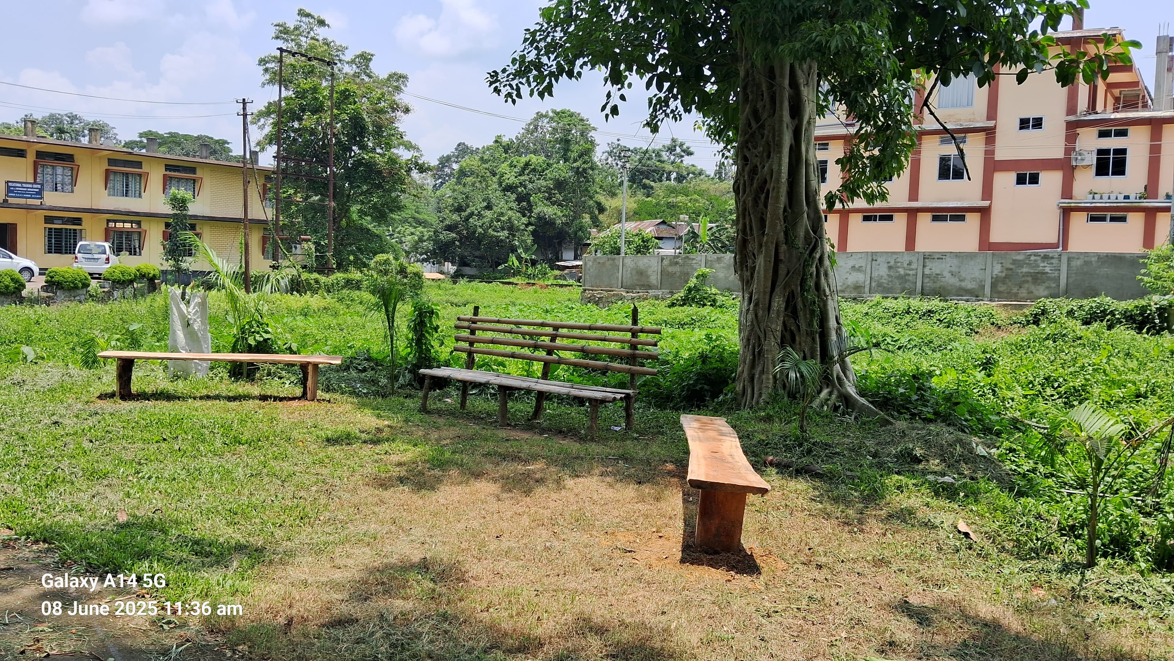 Vocational Training Centre Soil Market